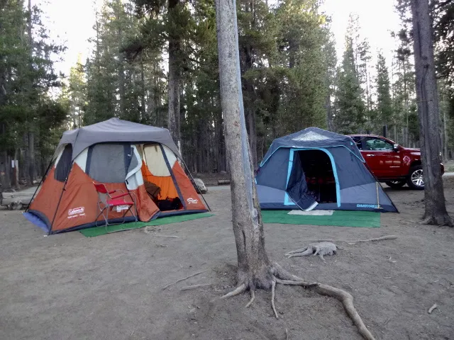 Medicine Campground Picture 2