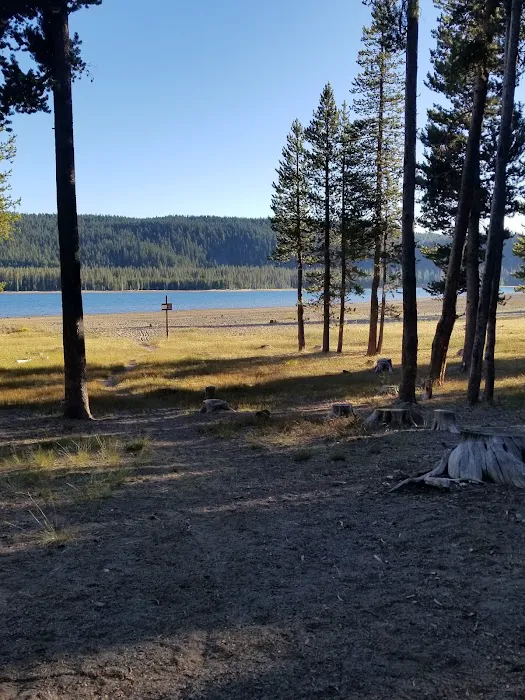 Medicine Campground Picture 5