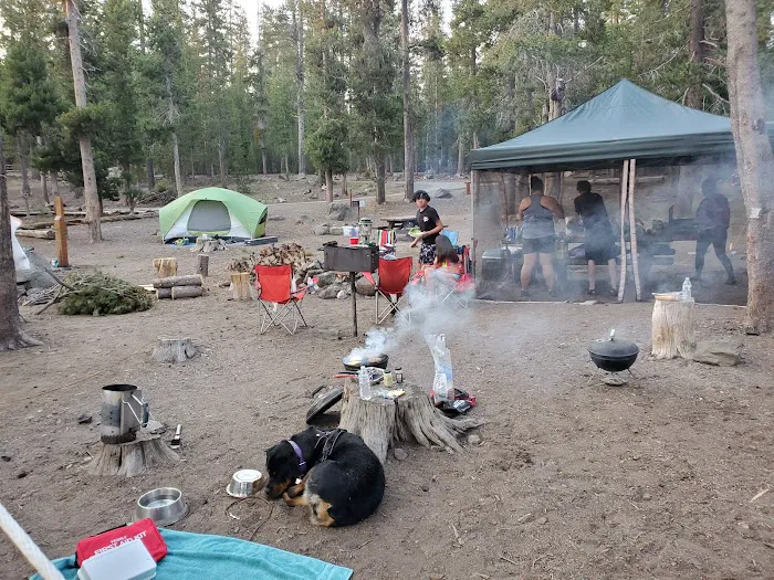Medicine Campground Picture 9