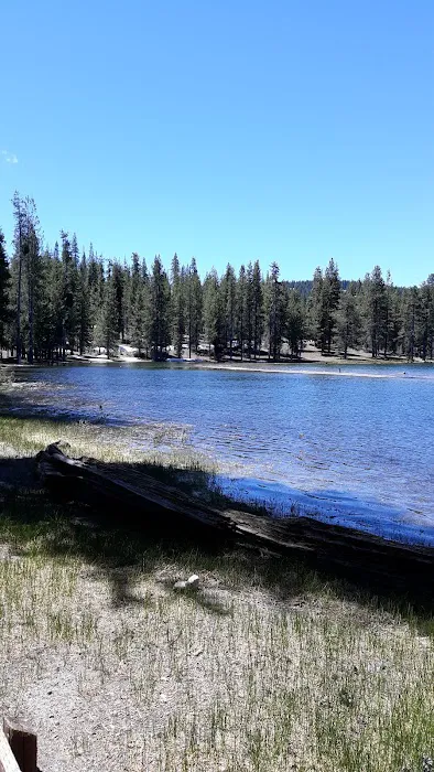 Medicine Lake Boating Site Picture 3