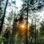 A.H. Hogue Campground