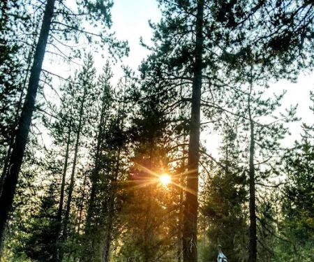 A.H. Hogue Campground