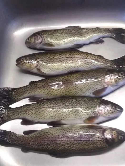 Payne Springs Campground Picture 1