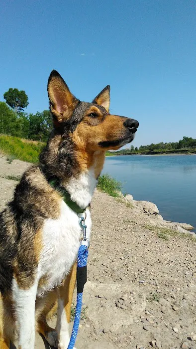 Williamson Park Campground Picture 7