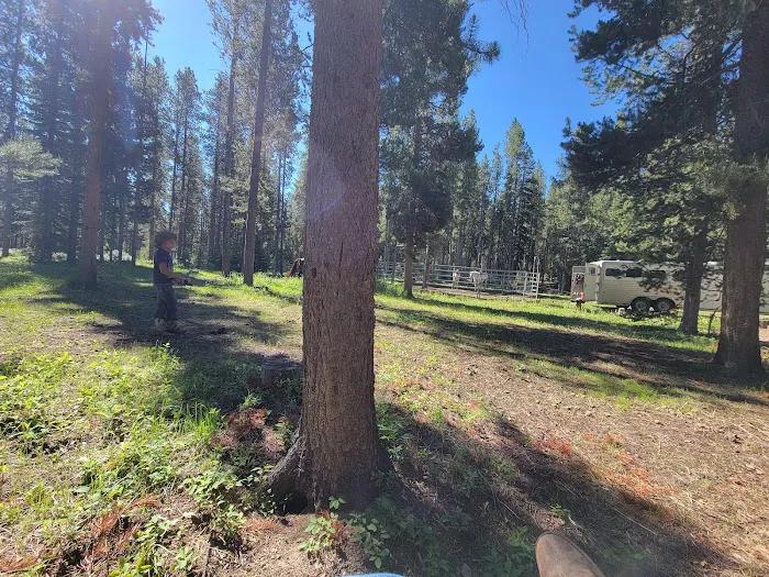 Benchmark Campground Picture 10