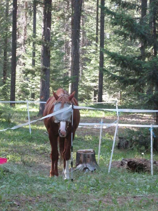 Benchmark Campground Picture 5