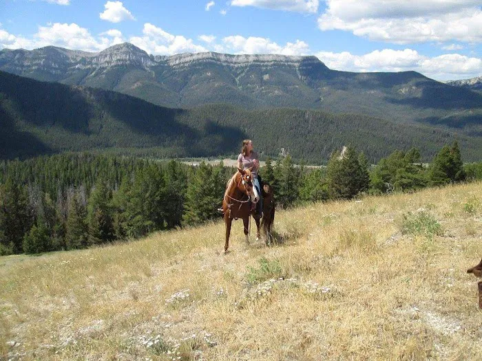 Benchmark Campground Picture 2