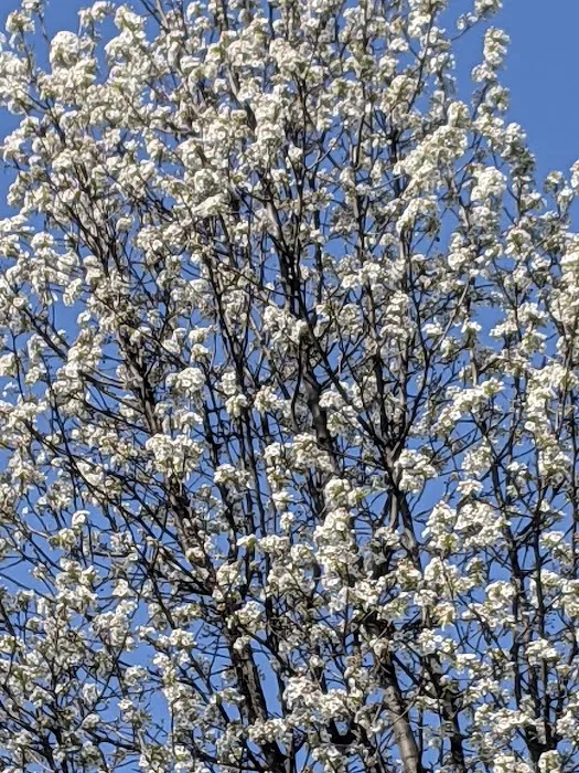 Brookside Terrace Mobile Home Park Picture 1