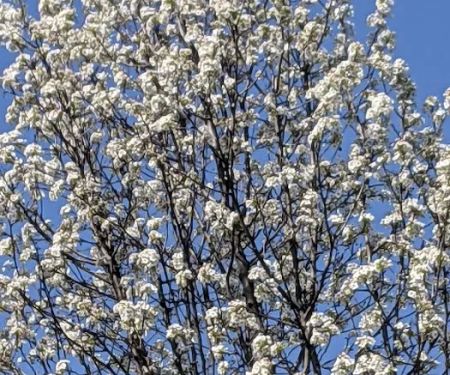 Brookside Terrace Mobile Home Park