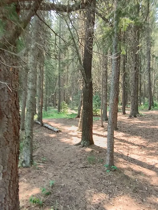 Wood Lake Campground Picture 7