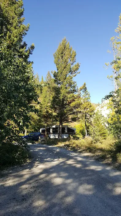 Wood Lake Campground Picture 8