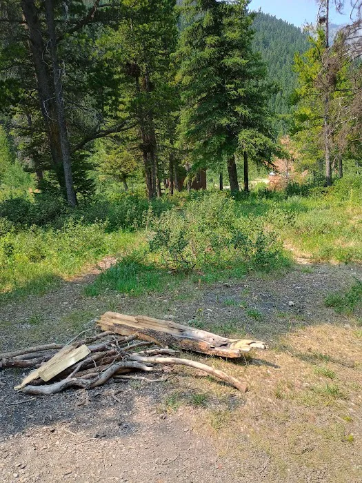 Wood Lake Campground Picture 2