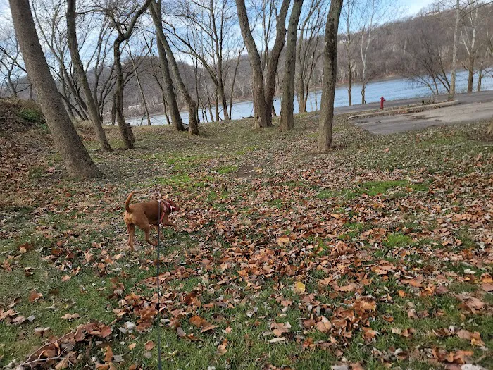 Tucker's Landing RV Park by Morningstar Marinas Picture 9