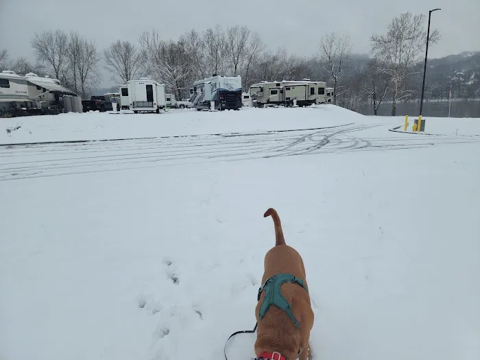 Tucker's Landing RV Park by Morningstar Marinas Picture 2