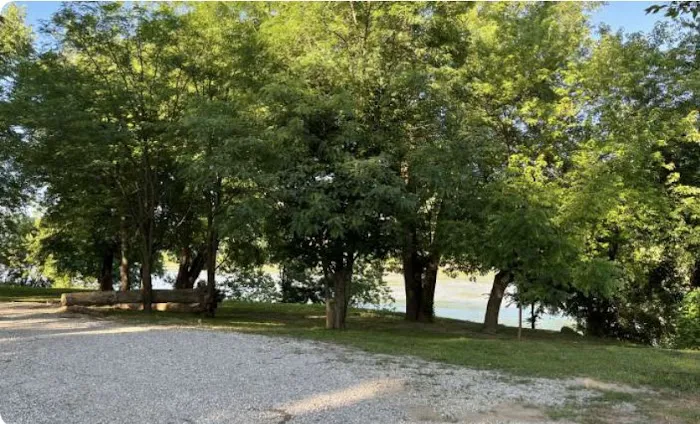 Harbor Park Picture 4