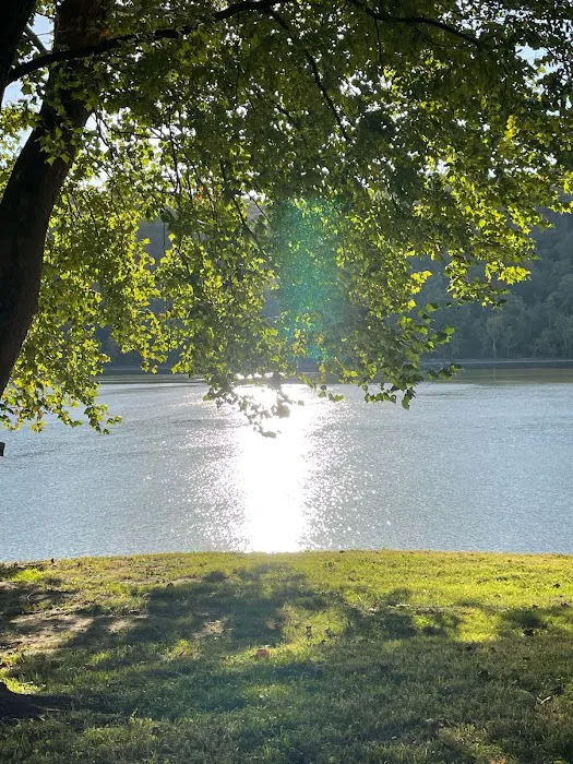 Harbor Park Picture 1