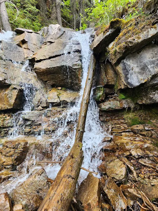 Double Falls Campground Picture 5