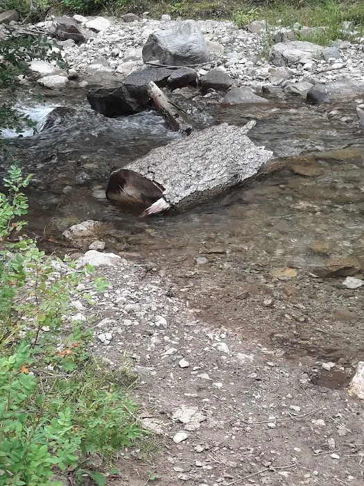 Double Falls Campground Picture 7