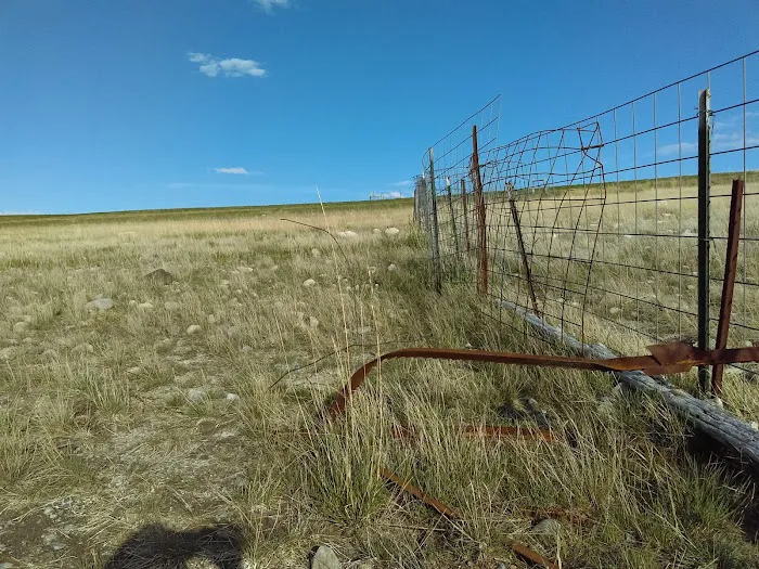 Bean Lake Campground Picture 10