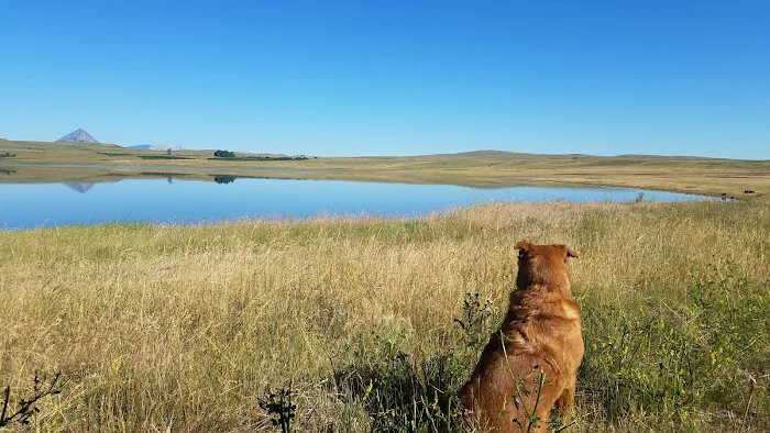 Bean Lake Campground Picture 1