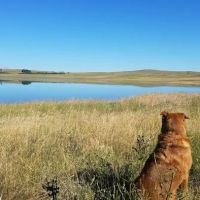 Bean Lake Campground ico