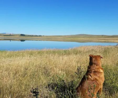 Bean Lake Campground
