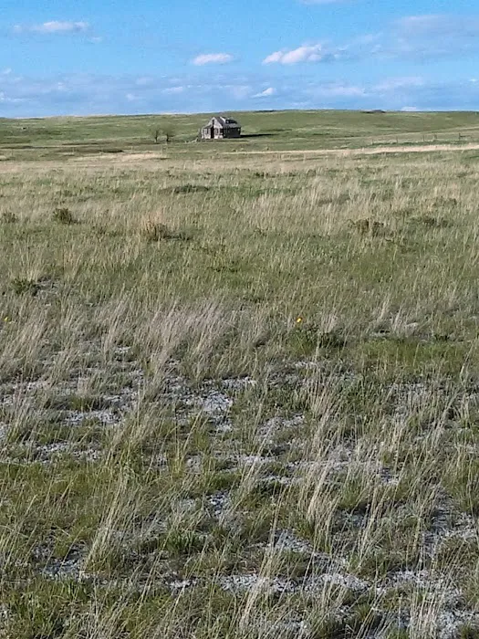 Bean Lake Campground Picture 7