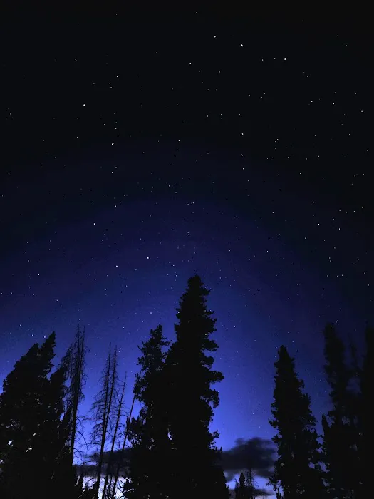 Little Joe Campground Picture 7