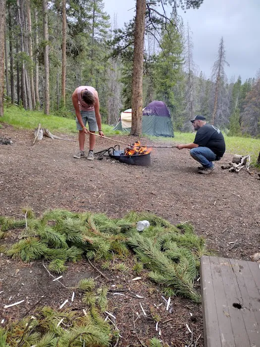 Little Joe Campground Picture 6