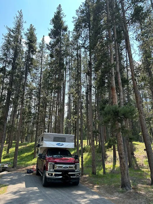 Little Joe Campground Picture 3