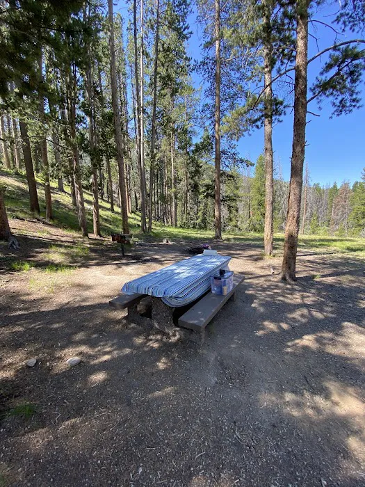 Little Joe Campground Picture 4