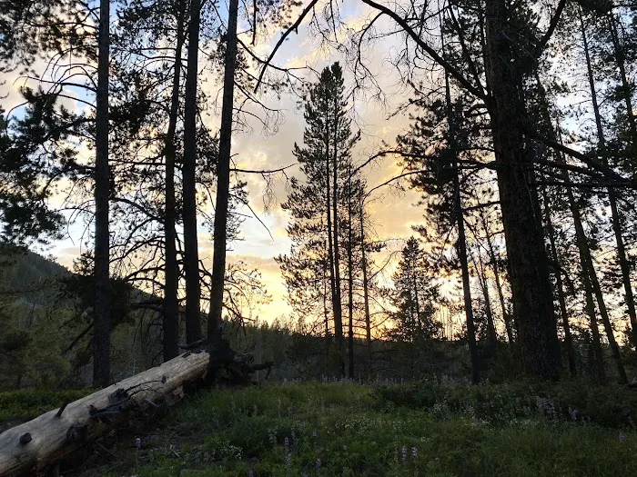 Little Joe Campground Picture 8