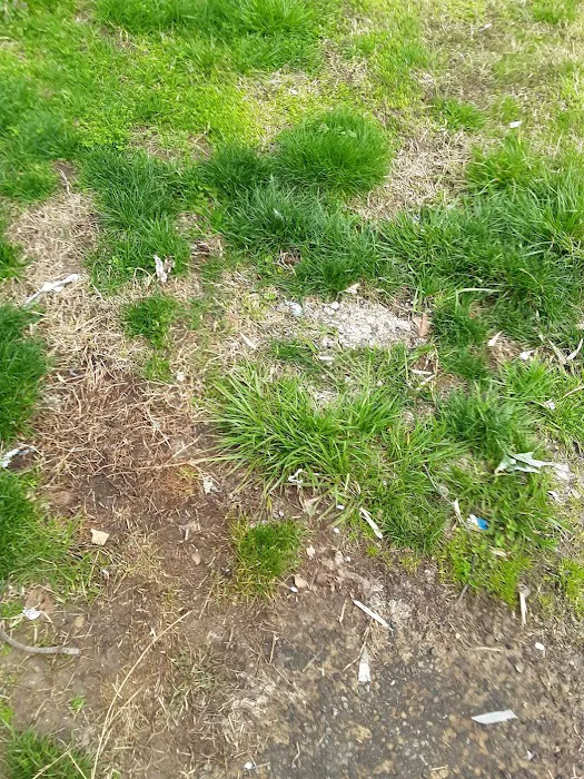 Westbrook Village Mobile Home Picture 7