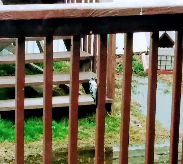 Westbrook Village Mobile Home Picture 8