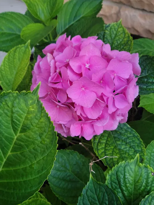 Westbrook Village Mobile Home Picture 1