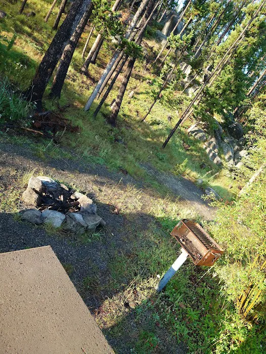 Beaverdam Campground and Picnic Area Picture 9