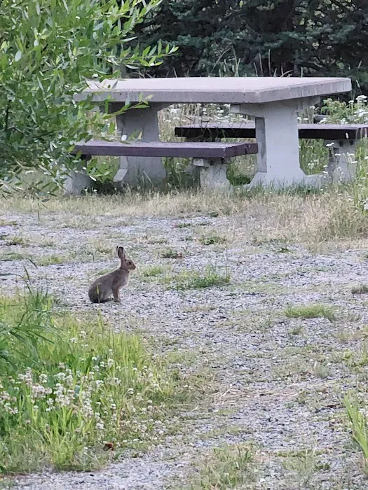 Beaverdam Campground and Picnic Area Picture 10