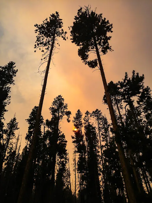 Beaverdam Campground and Picnic Area Picture 1
