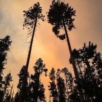 Beaverdam Campground and Picnic Area ico