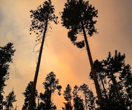 Beaverdam Campground and Picnic Area