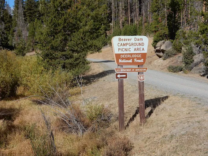 Beaverdam Campground and Picnic Area Picture 7