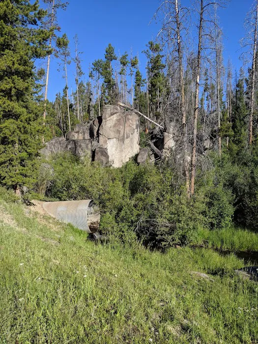 Beaverdam Campground and Picnic Area Picture 5