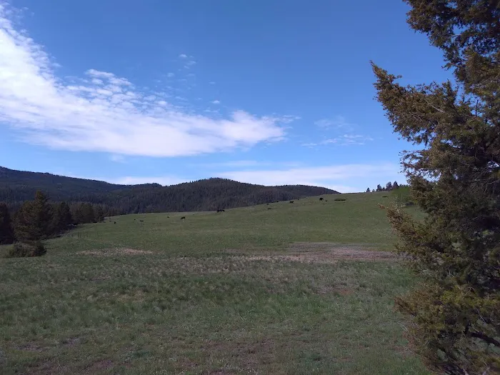 High Rye Cabin Picture 1