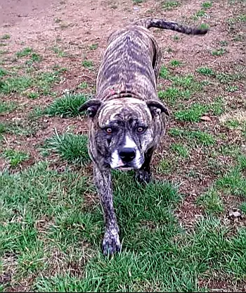 Rolling Acres Picture 1