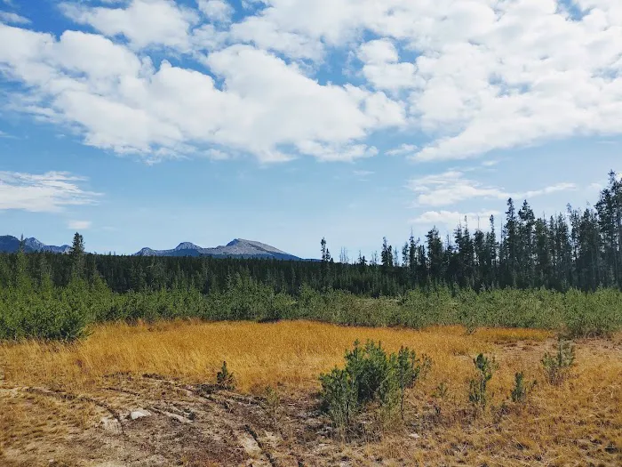 Price Creek Campground Picture 9