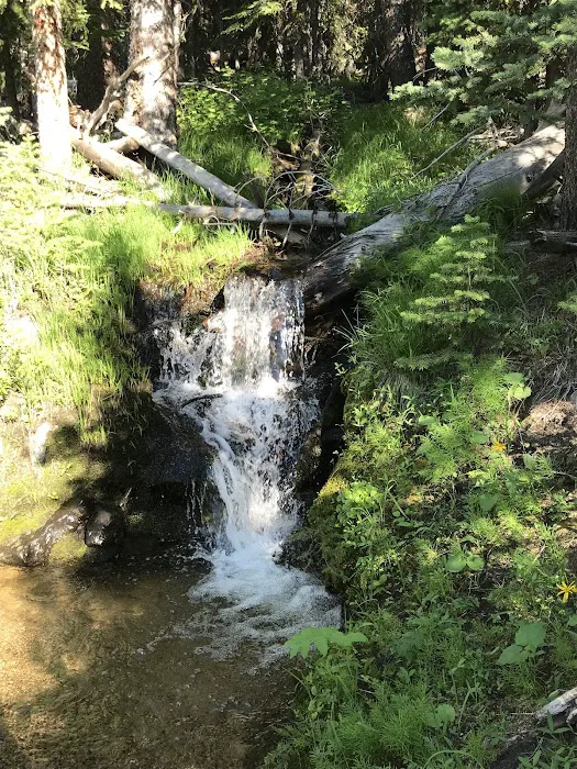 Price Creek Campground Picture 4