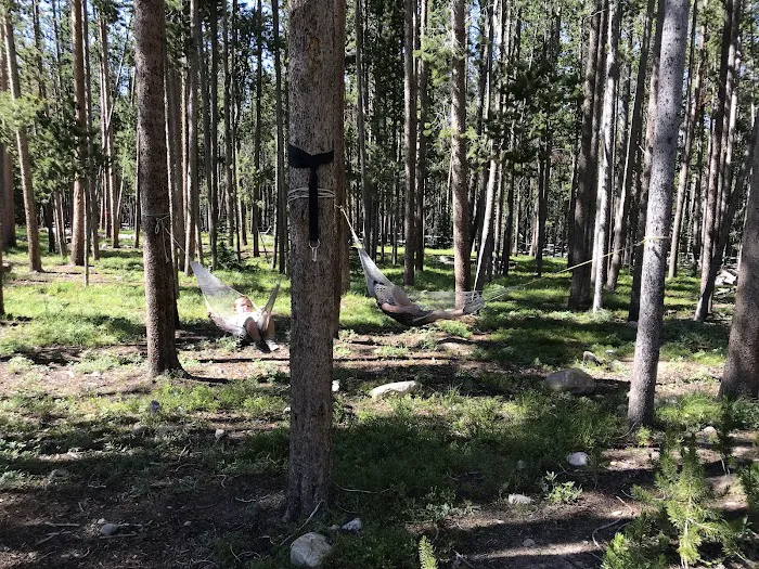 Price Creek Campground Picture 3