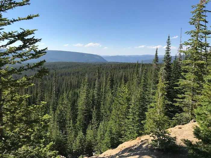 Price Creek Campground Picture 2