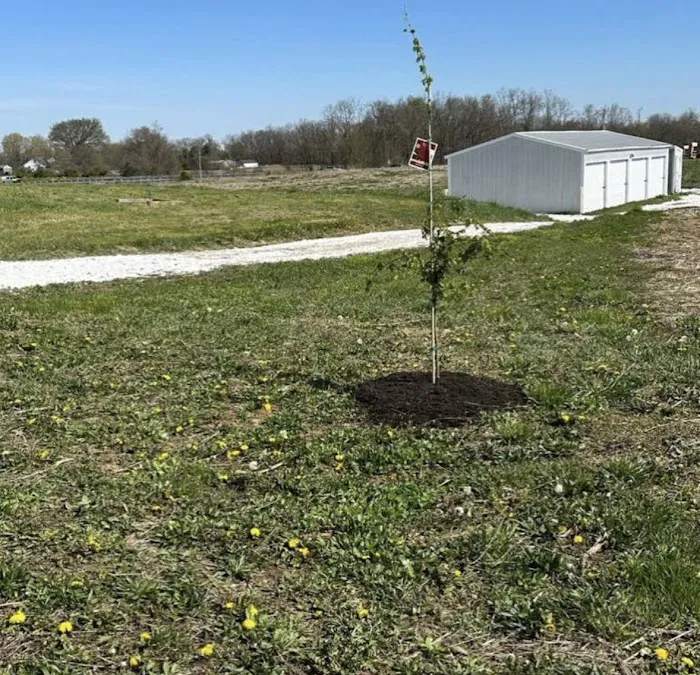 County Line Campground & Storage Picture 1