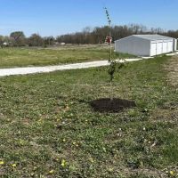 County Line Campground & Storage ico